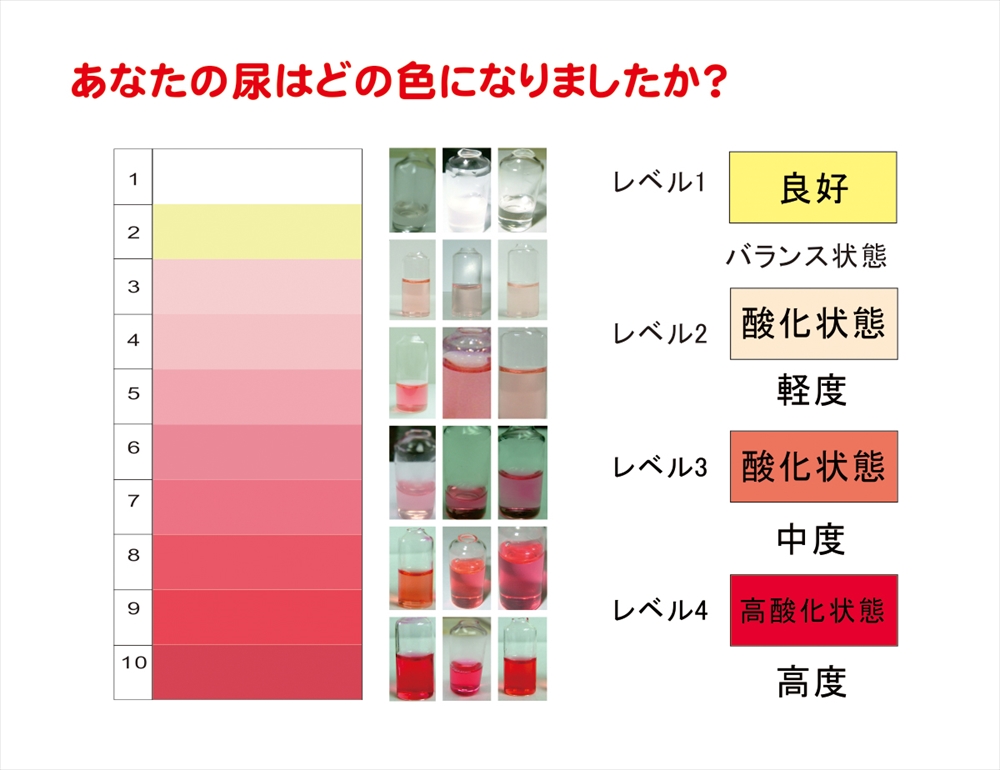 ドクターズチェック2セット入り 1箱 自宅で簡単 ５分でわかる 体内の酸化ストレス度合いを測る尿検査